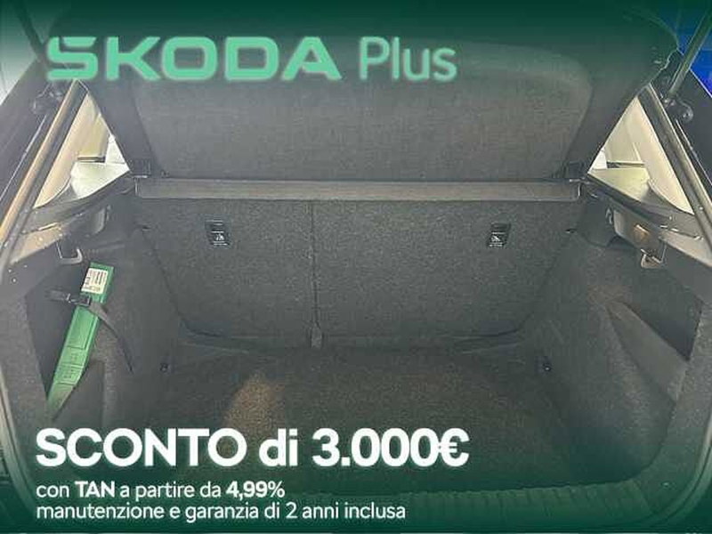 Skoda Kamiq usata a Cosenza (6)