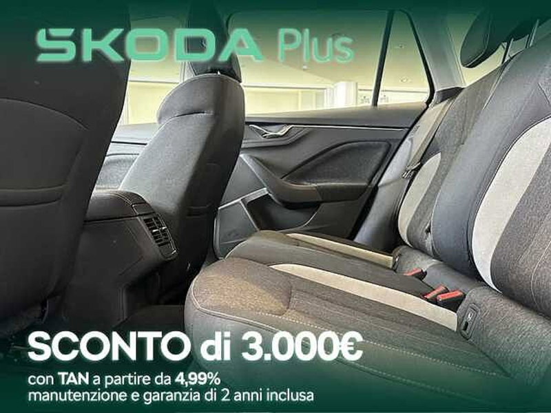 Skoda Kamiq usata a Cosenza (7)