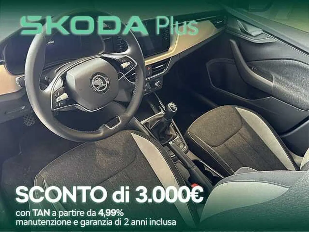 Skoda Kamiq usata a Cosenza (8)