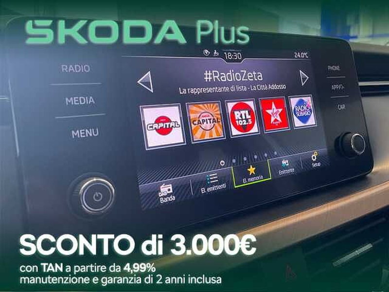 Skoda Kamiq usata a Cosenza (10)
