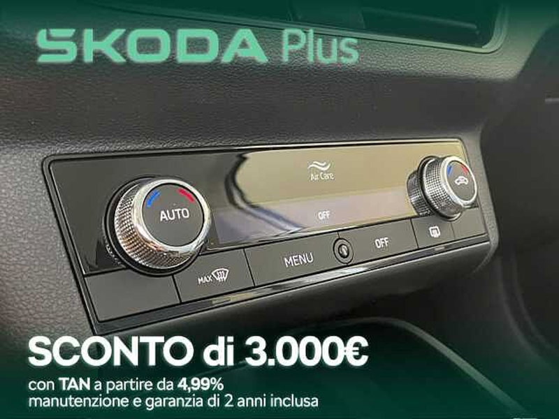 Skoda Kamiq usata a Cosenza (11)