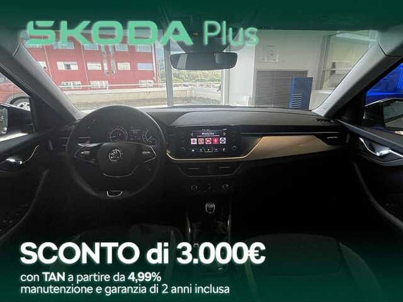 Skoda Kamiq usata a Cosenza (12)