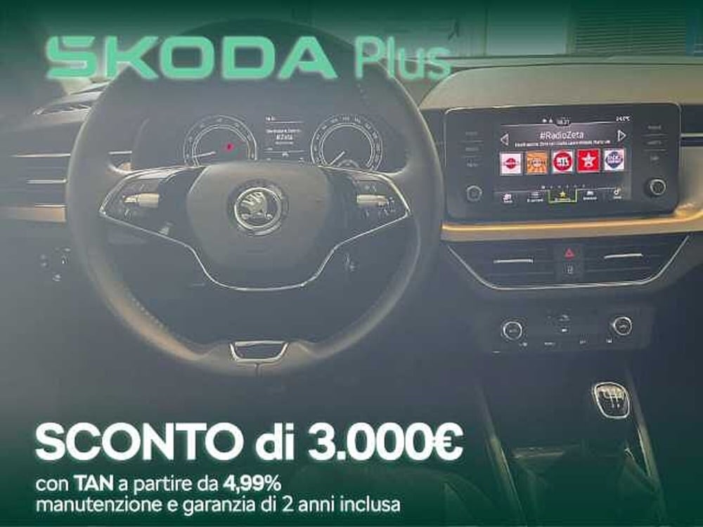 Skoda Kamiq usata a Cosenza (13)