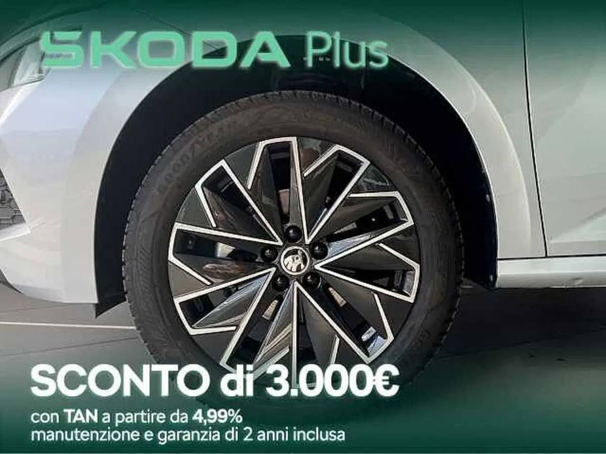 Skoda Kamiq usata a Cosenza (3)