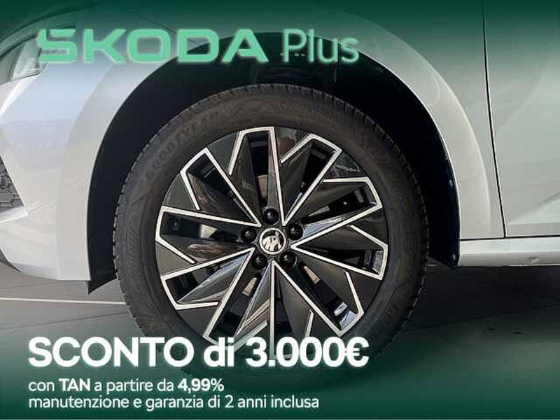 Skoda Kamiq usata a Cosenza (3)