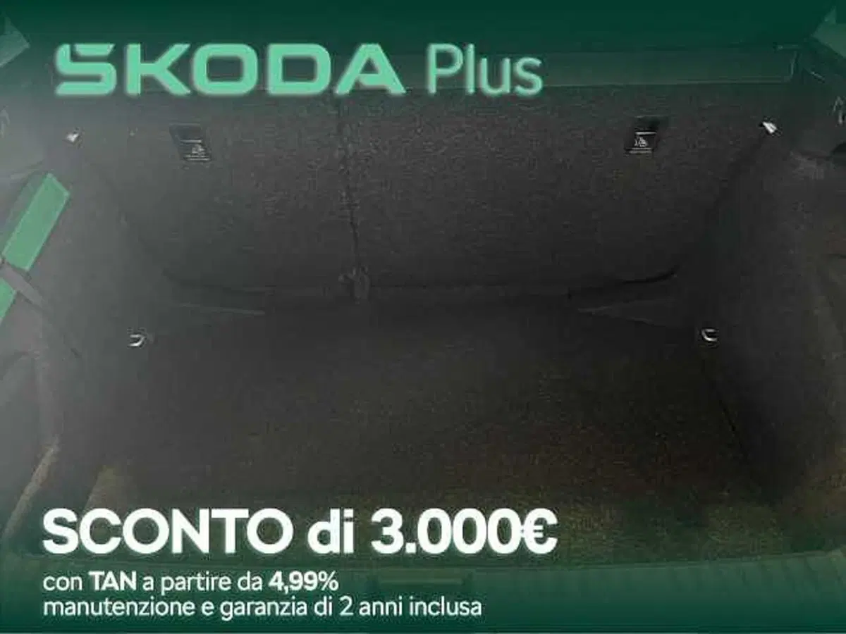 Skoda Kamiq usata a Cosenza (6)