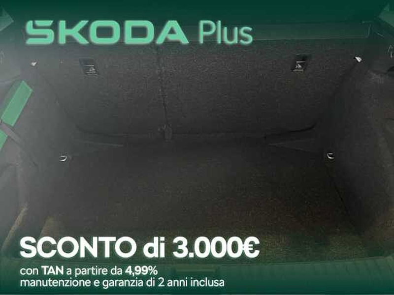 Skoda Kamiq usata a Cosenza (6)