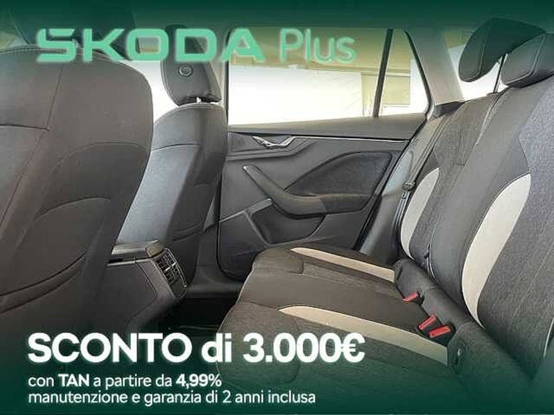 Skoda Kamiq usata a Cosenza (7)
