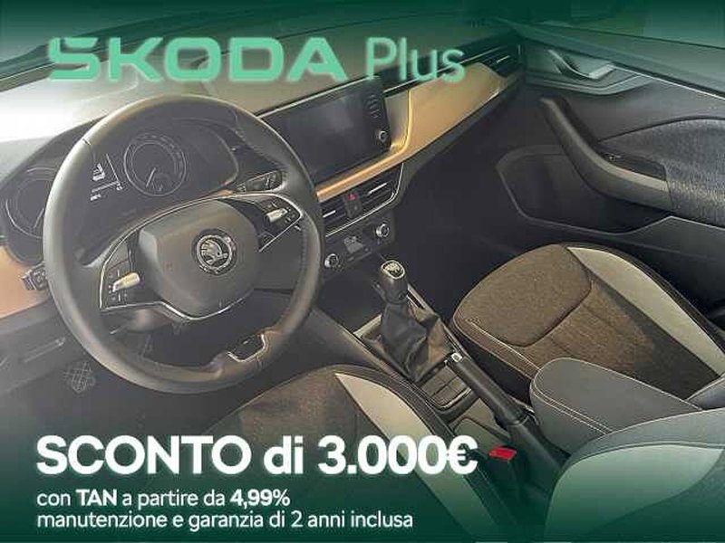 Skoda Kamiq usata a Cosenza (8)