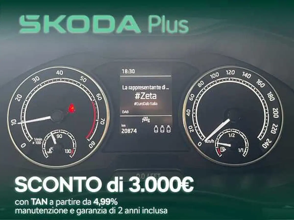 Skoda Kamiq usata a Cosenza (9)