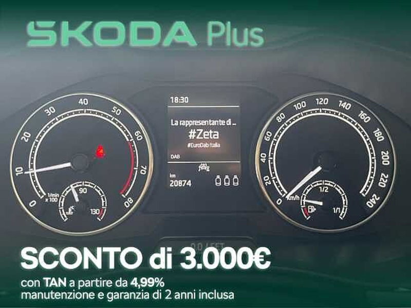 Skoda Kamiq usata a Cosenza (9)