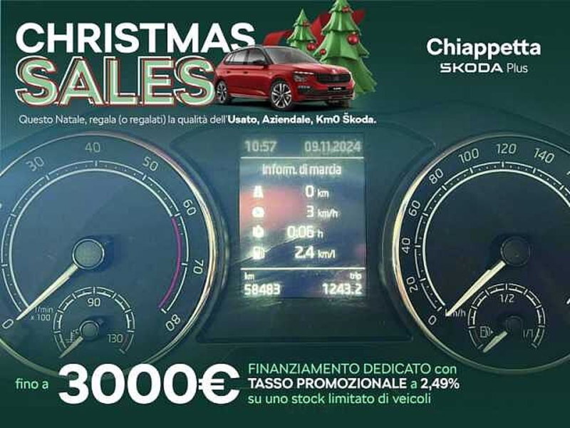 Skoda Kamiq usata a Cosenza (10)