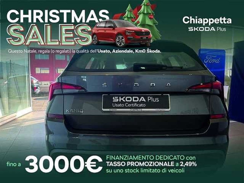 Skoda Kamiq usata a Cosenza (11)