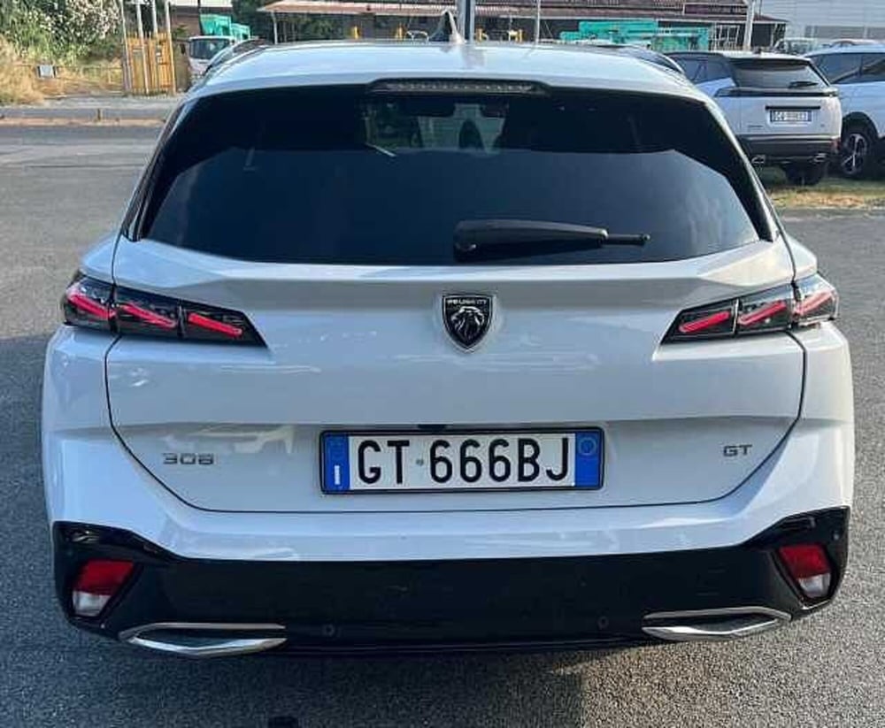 Peugeot 308 SW usata a La Spezia (13)