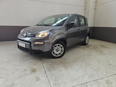 Fiat Panda Cross Cross 1.0 FireFly S&amp;S Hybrid del 2023 usata a Cremona