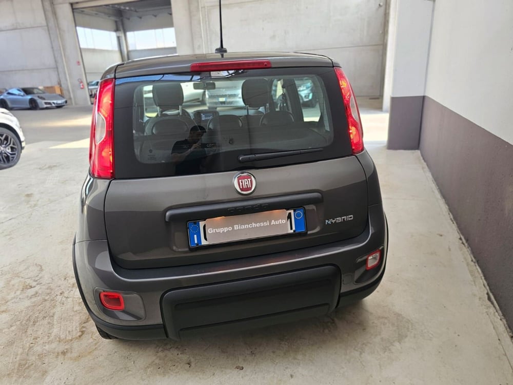 Fiat Panda Cross usata a Cremona (3)