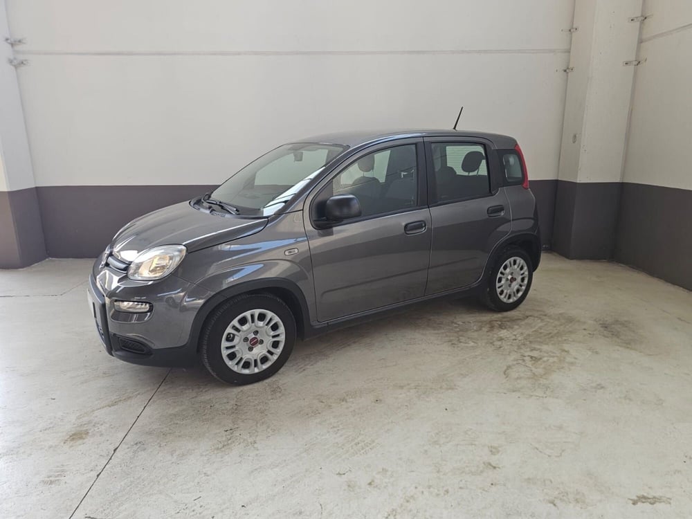 Fiat Panda Cross usata a Cremona (4)