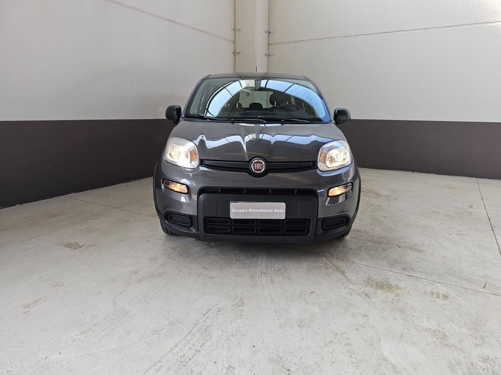 Fiat Panda Cross usata a Cremona (5)