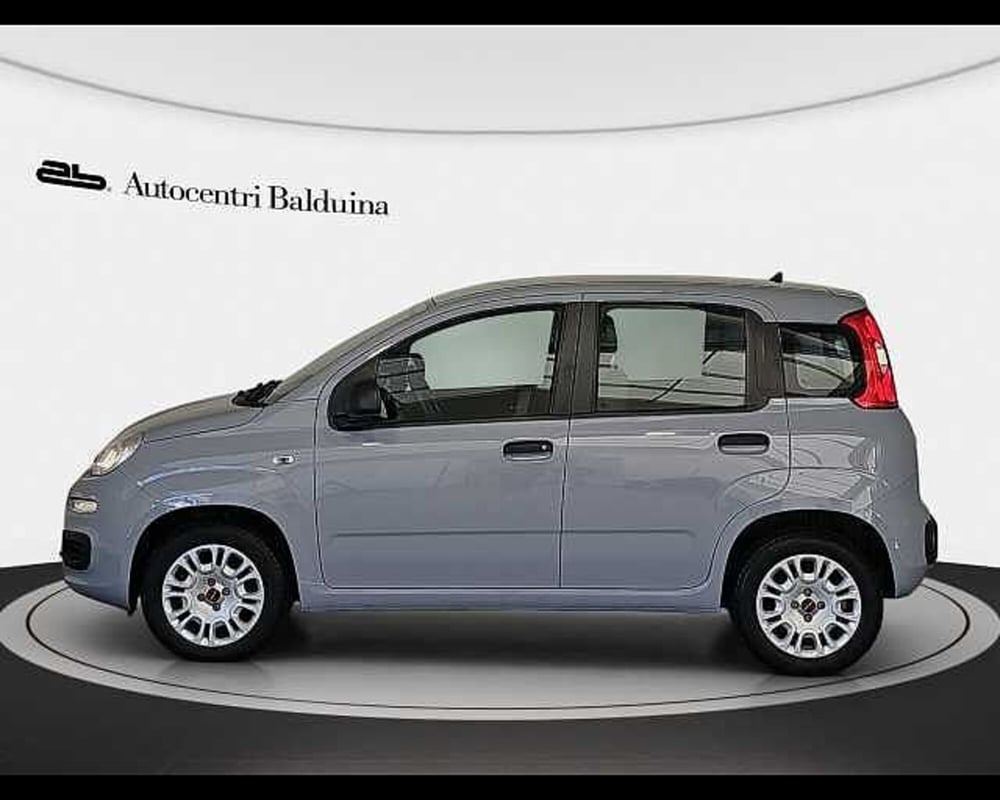 Fiat Panda usata a Roma (3)