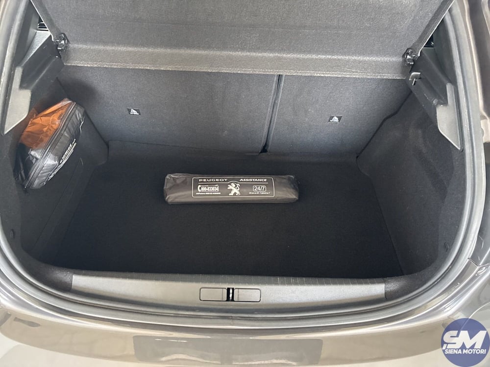 Peugeot 208 usata a Firenze (20)