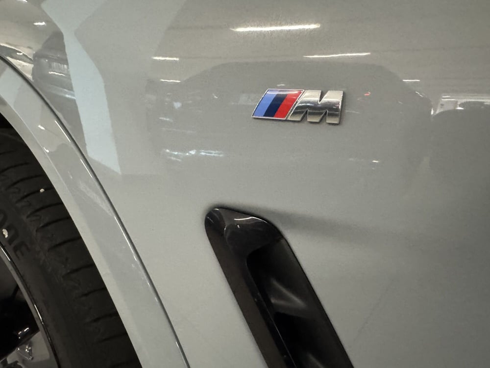 BMW X4 usata a Messina (6)