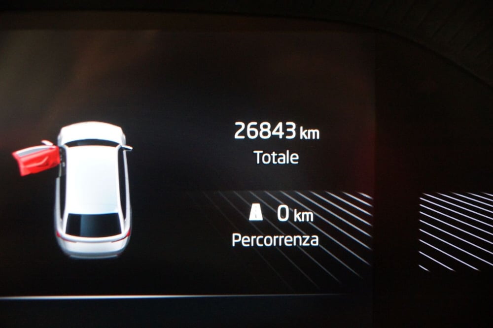 Skoda Fabia usata a Torino (10)