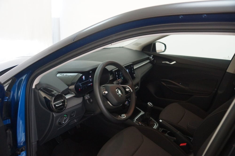 Skoda Fabia usata a Torino (12)
