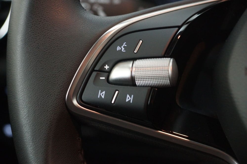 Skoda Fabia usata a Torino (14)