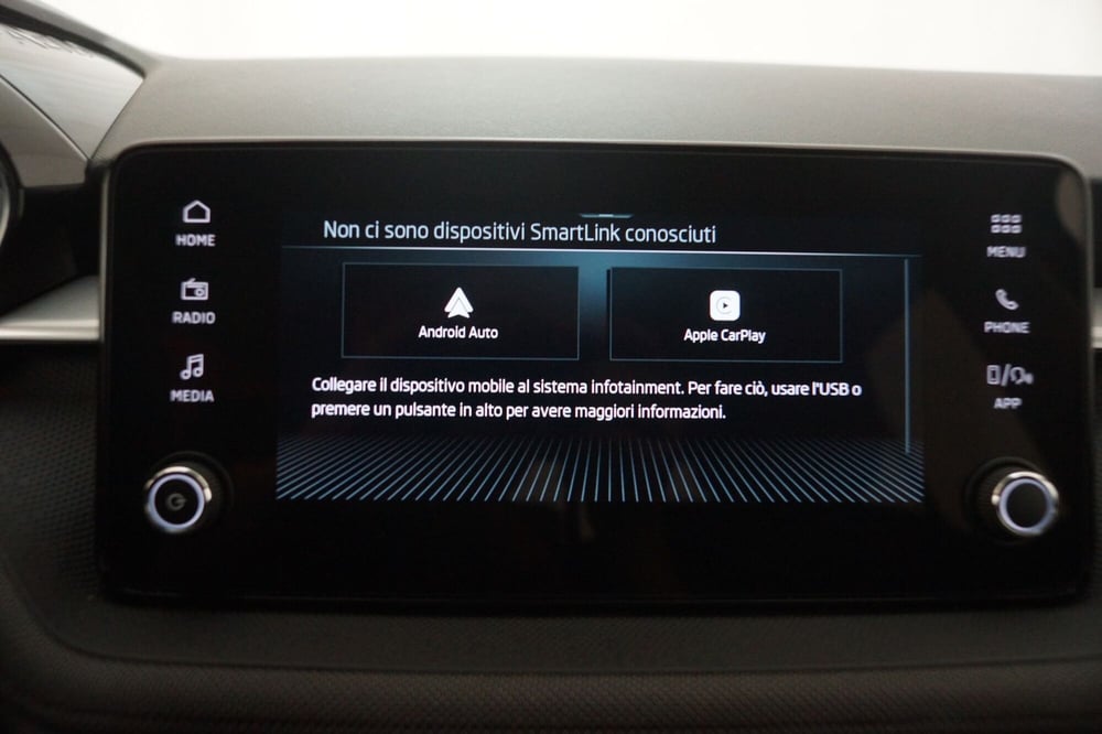 Skoda Fabia usata a Torino (20)