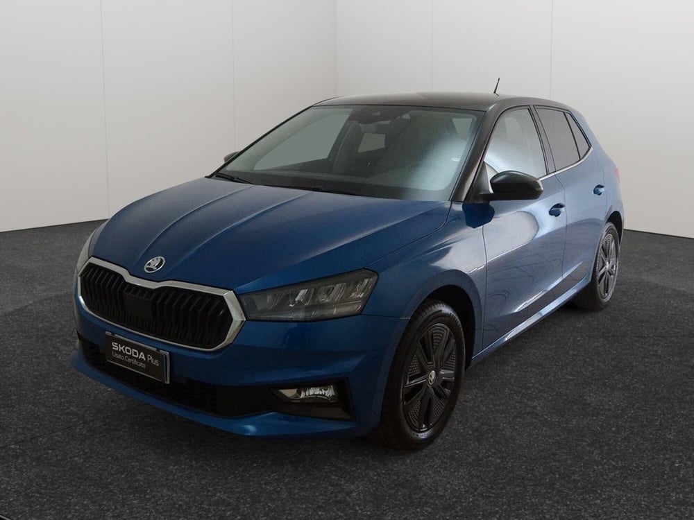 Skoda Fabia usata a Torino (3)