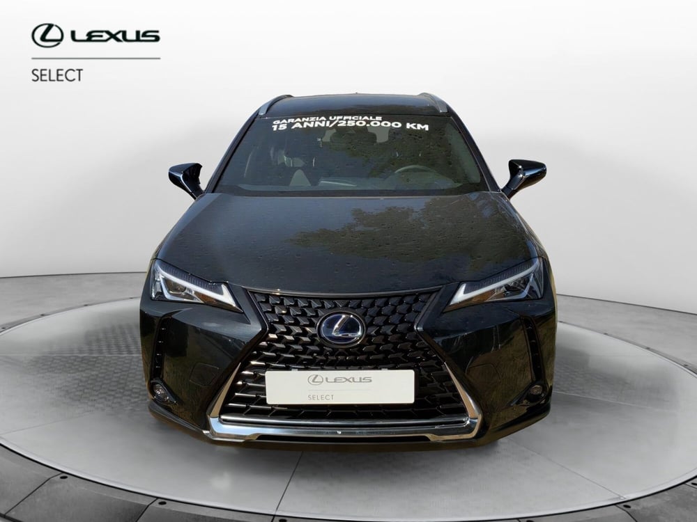 Lexus UX usata a Perugia (2)