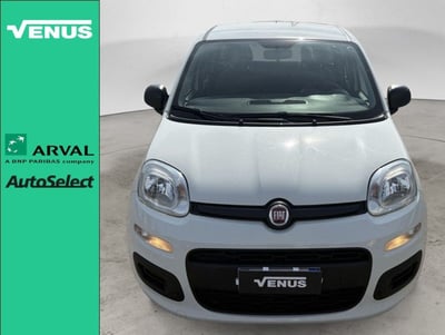 Fiat Panda 1.0 FireFly S&amp;S Hybrid City Cross del 2021 usata a Monza