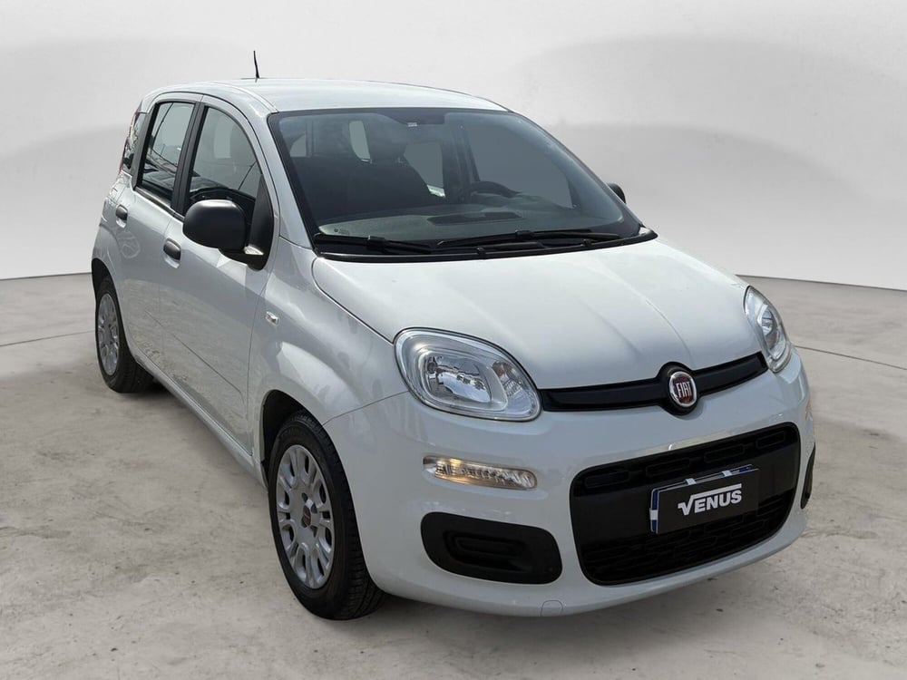 Fiat Panda usata a Monza e Brianza (16)