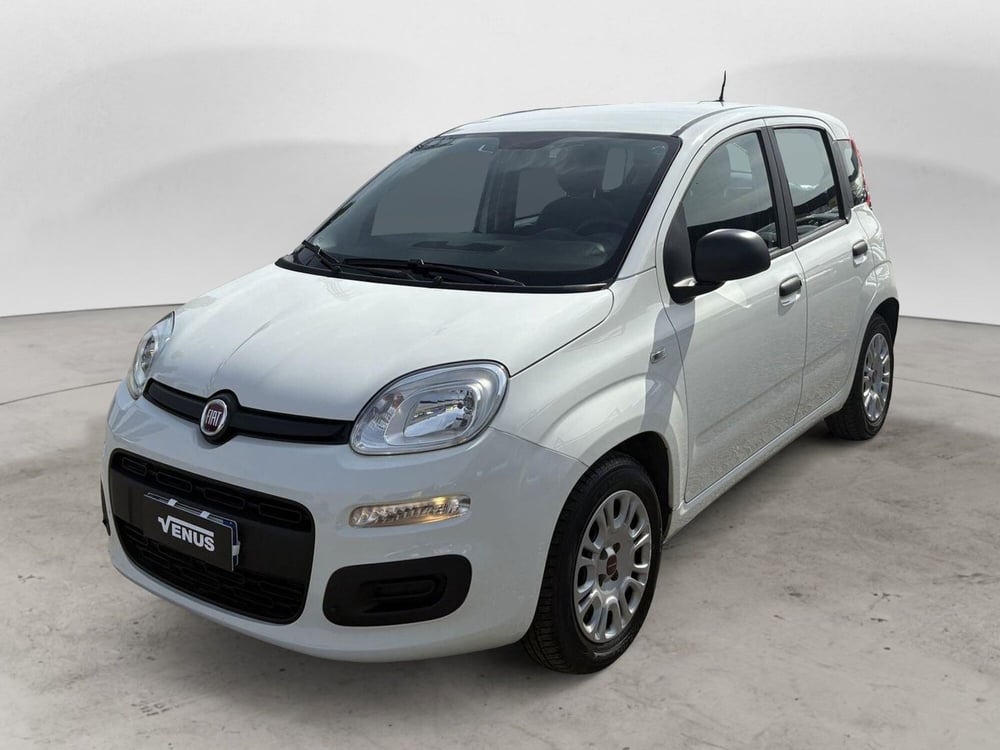 Fiat Panda usata a Monza e Brianza (2)