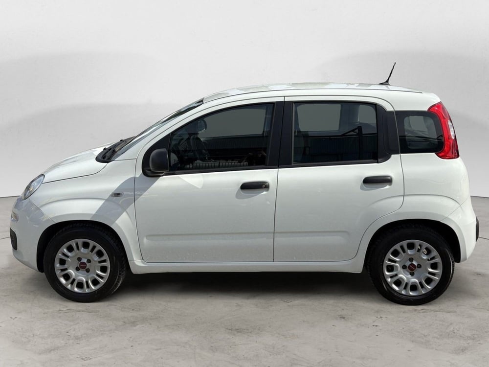 Fiat Panda usata a Monza e Brianza (3)