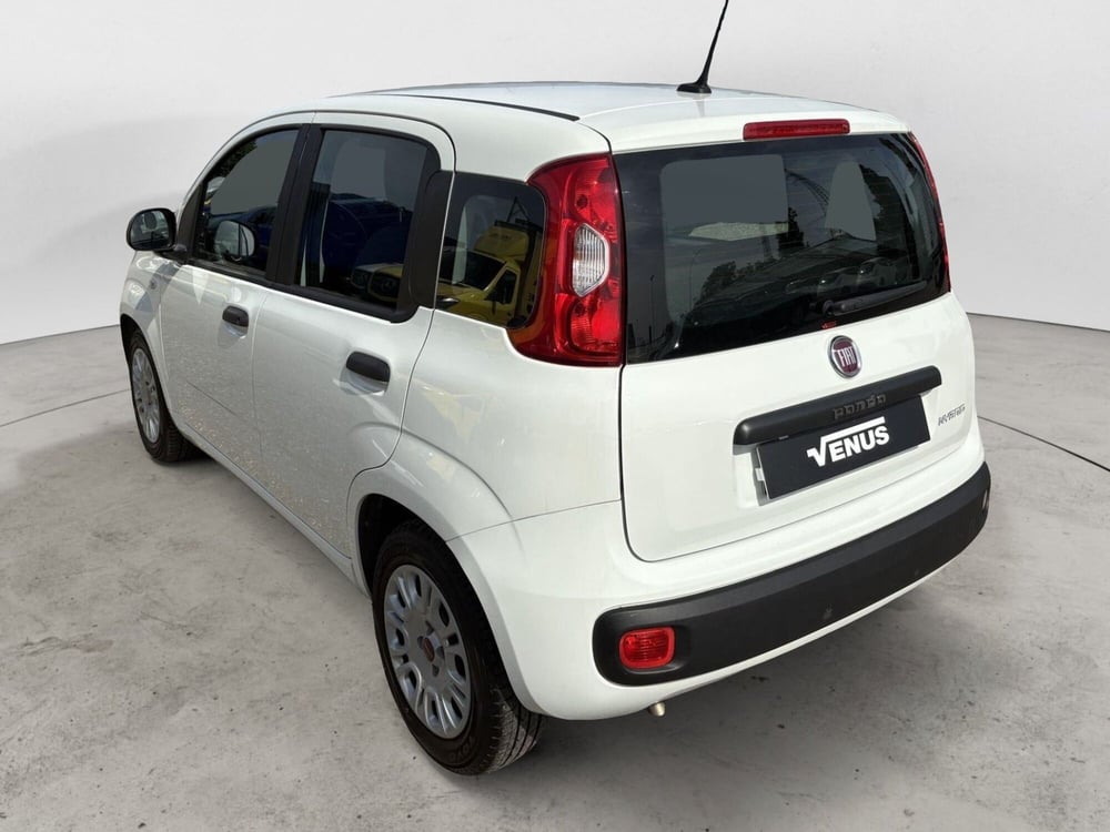Fiat Panda usata a Monza e Brianza (4)