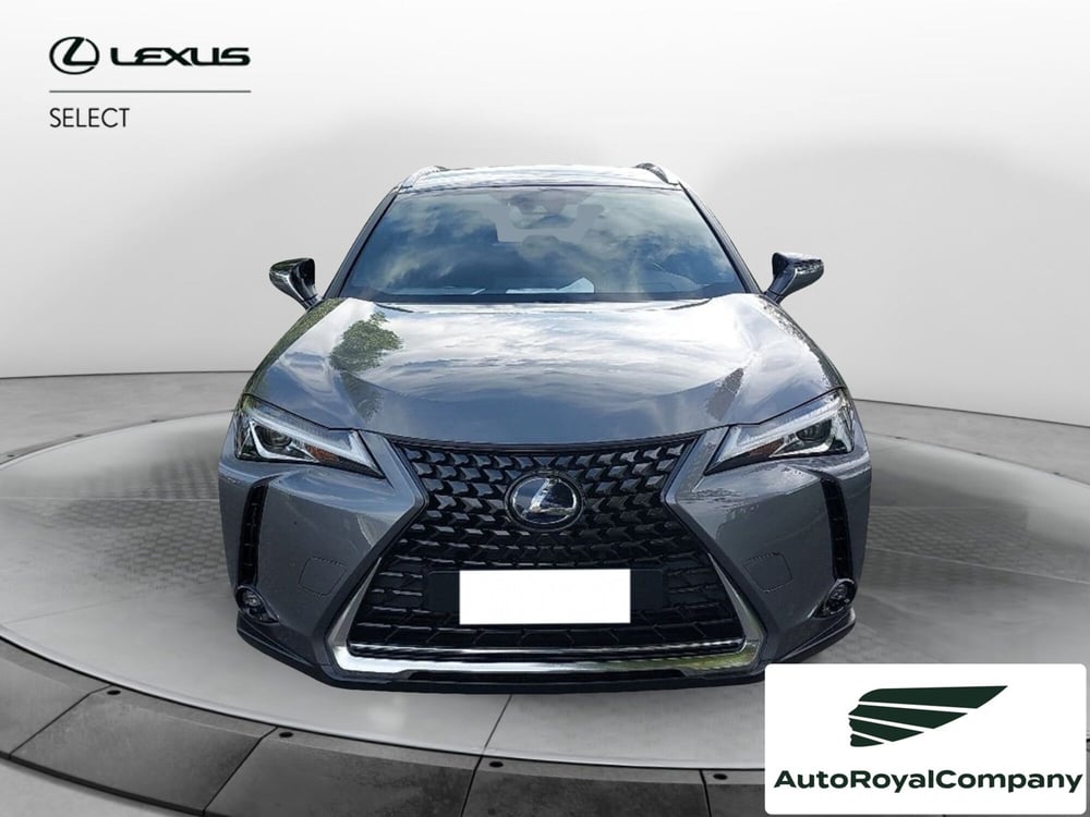 Lexus UX usata a Roma (6)