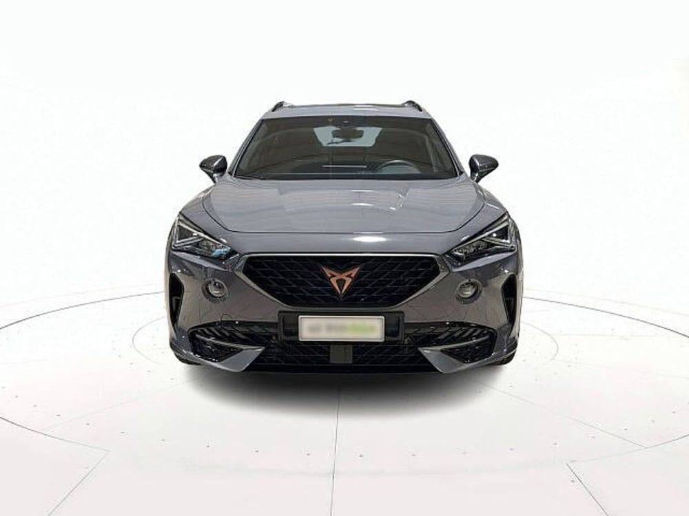 Cupra Formentor usata a Vicenza (2)