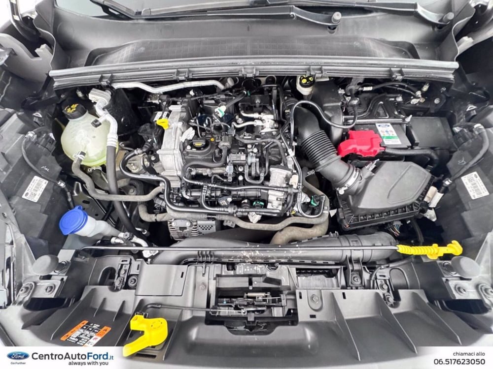 Ford Puma usata a Roma (12)