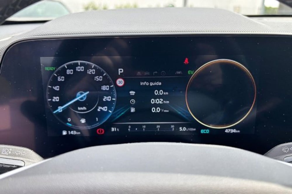 Kia Niro usata a Latina (13)
