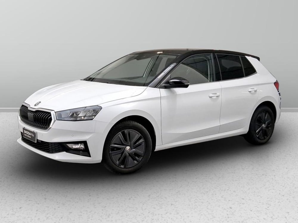 Skoda Fabia usata a Padova