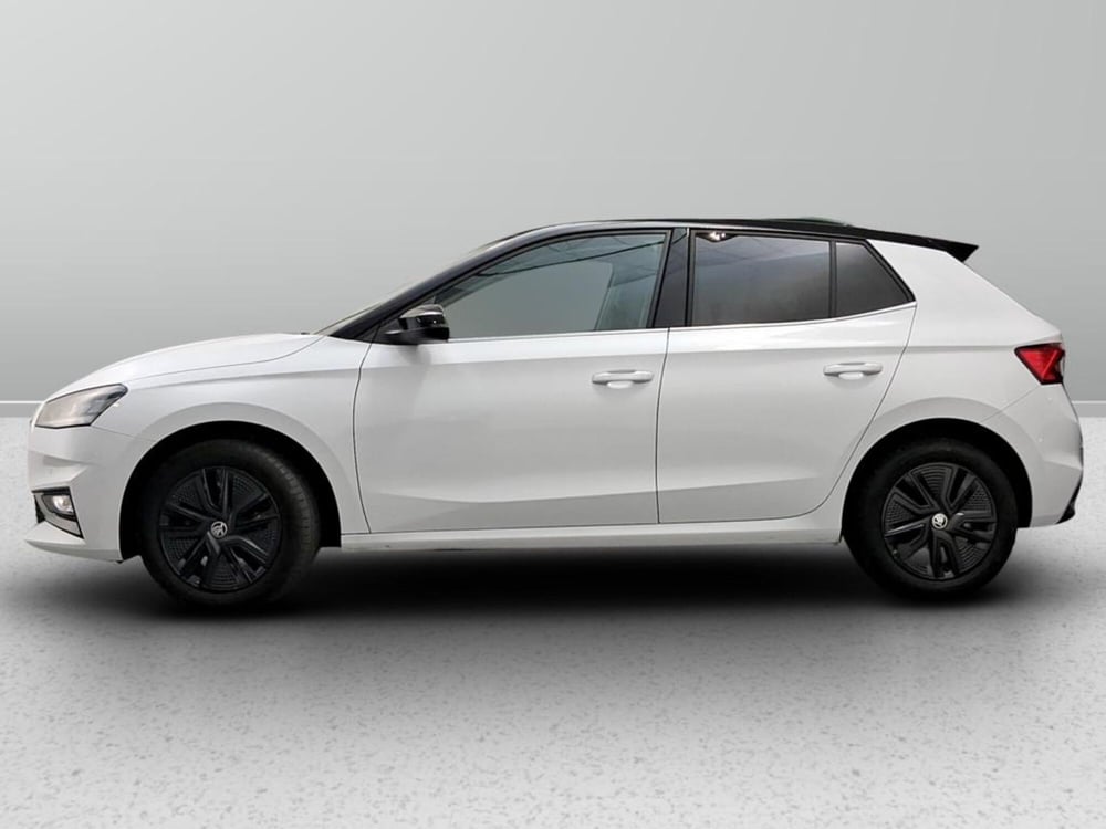 Skoda Fabia usata a Padova (2)