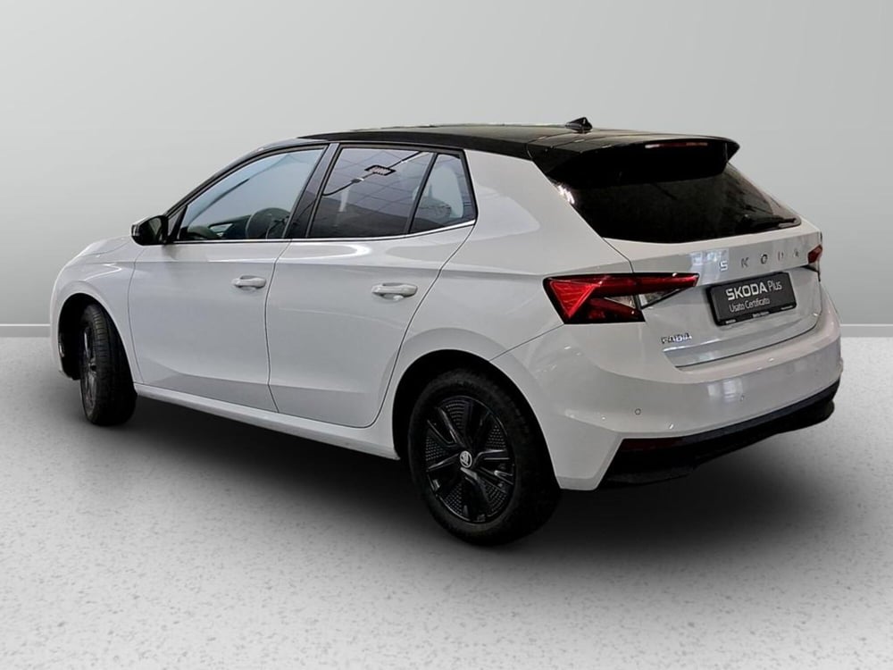 Skoda Fabia usata a Padova (3)