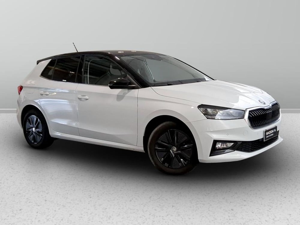 Skoda Fabia usata a Padova (4)
