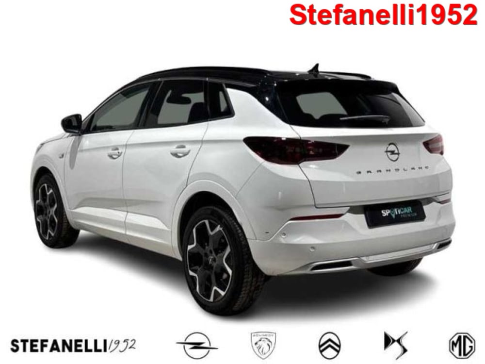Opel Grandland usata a Bologna (5)