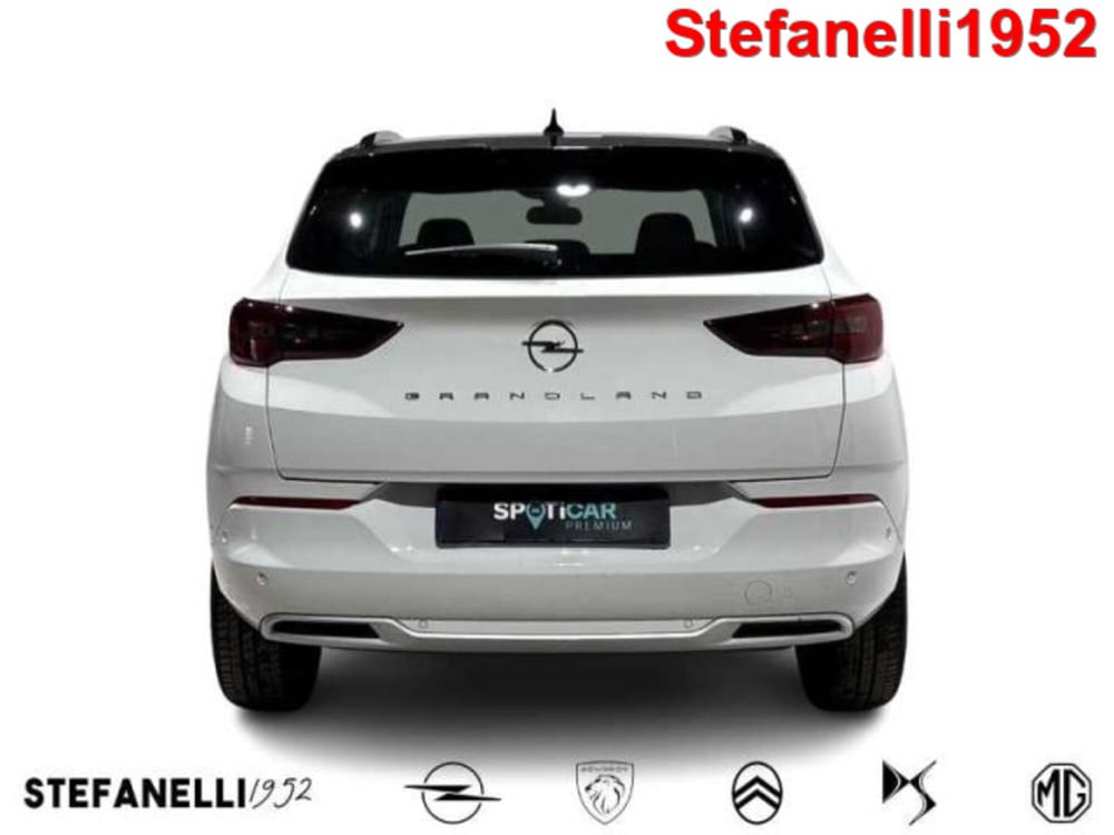 Opel Grandland usata a Bologna (6)