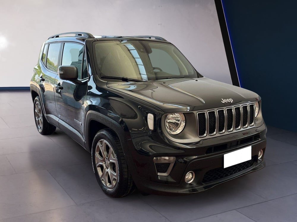 Jeep Renegade usata a Torino (3)