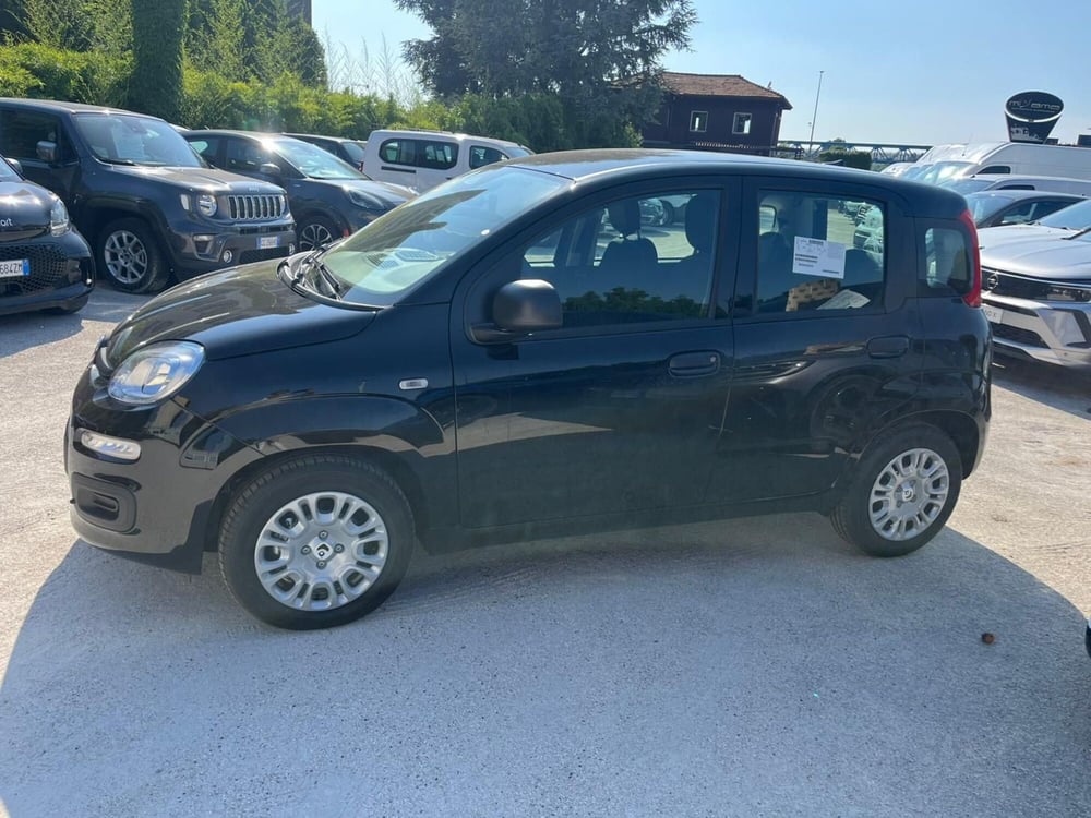 Fiat Panda Cross nuova a Milano (4)