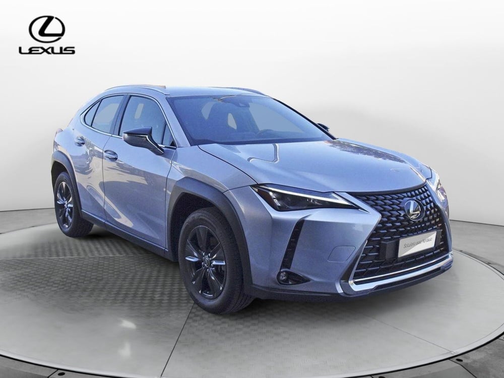 Lexus UX usata a Treviso (3)