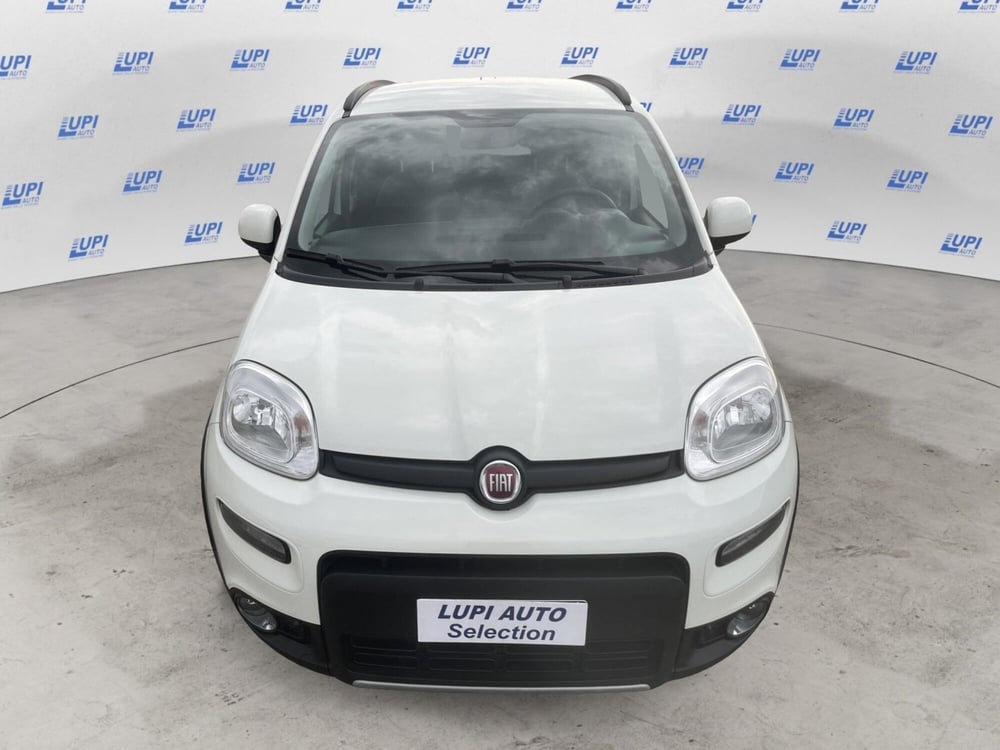 Fiat Panda usata a Pistoia (11)